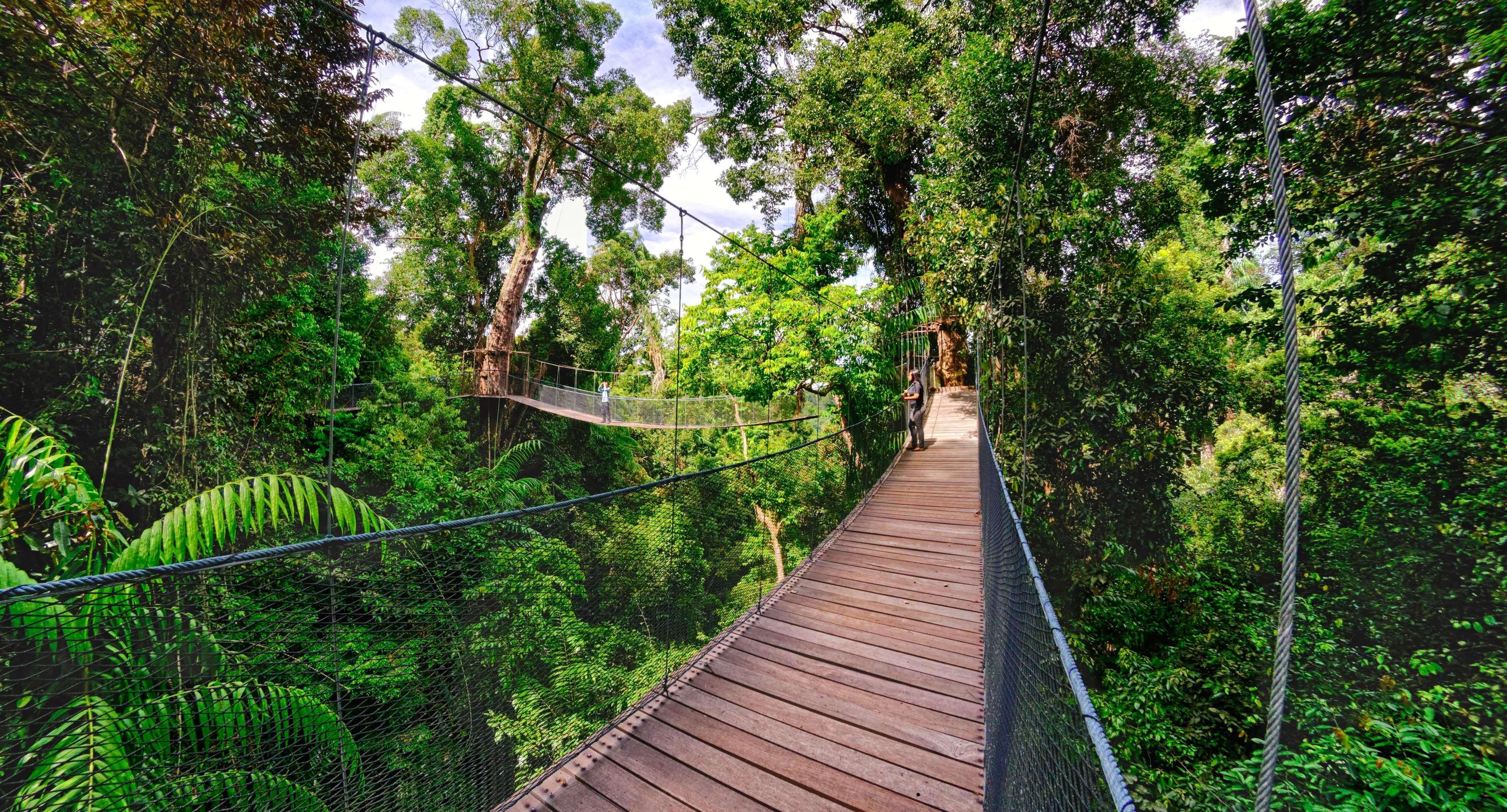 Bunga Raya Island Resort & Spa Île de Gaya Extérieur photo