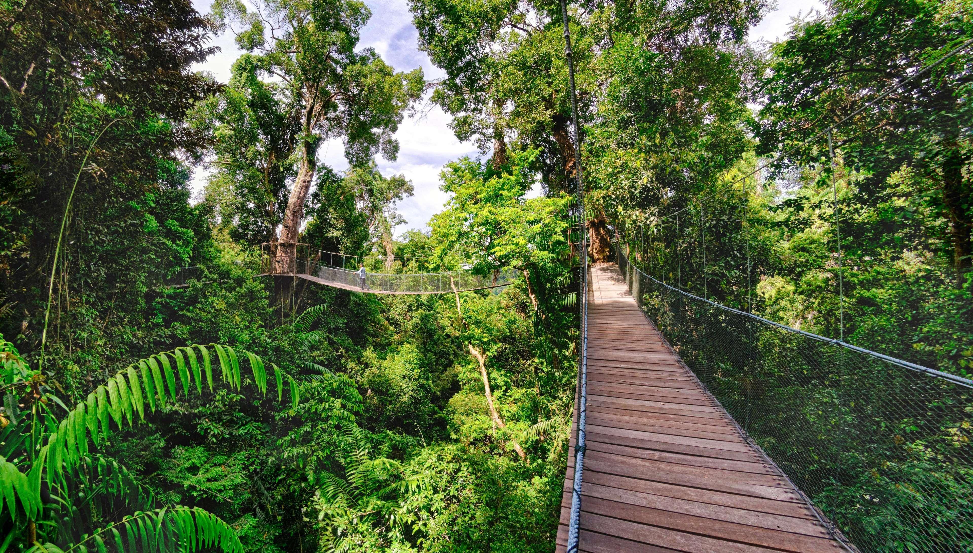 Bunga Raya Island Resort & Spa Île de Gaya Extérieur photo